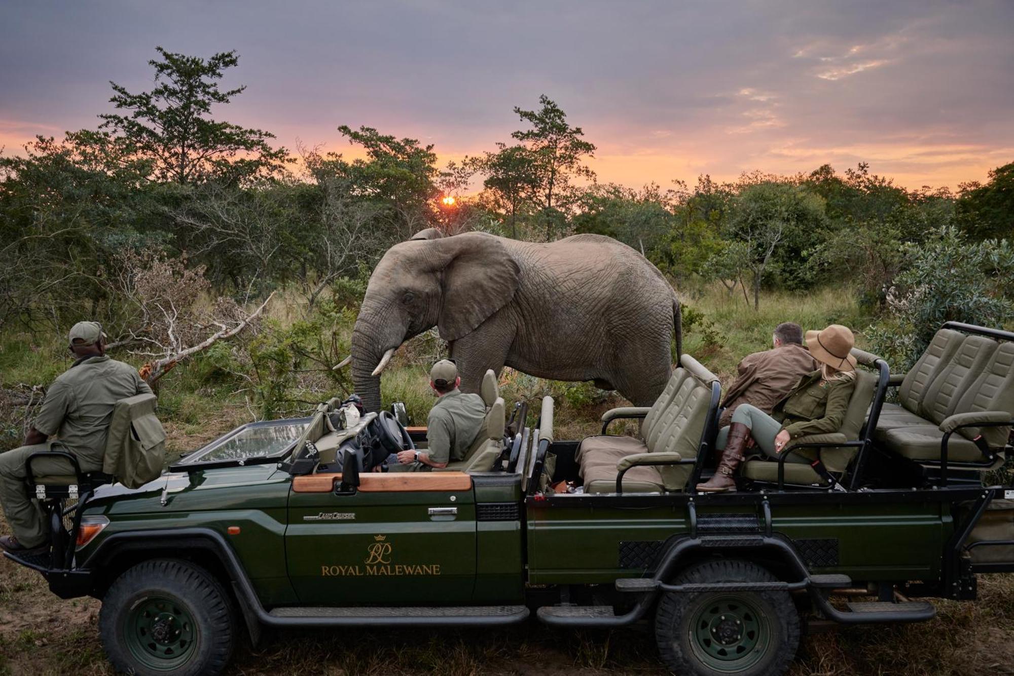 Royal Malewane Villa Thornybush Game Reserve Exterior photo