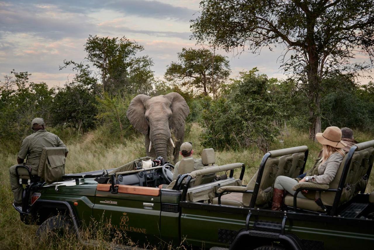 Royal Malewane Villa Thornybush Game Reserve Exterior photo